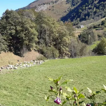 Edelweiss Familial بيت للعطل